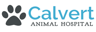 Link to Homepage of Calvert Animal Hospital